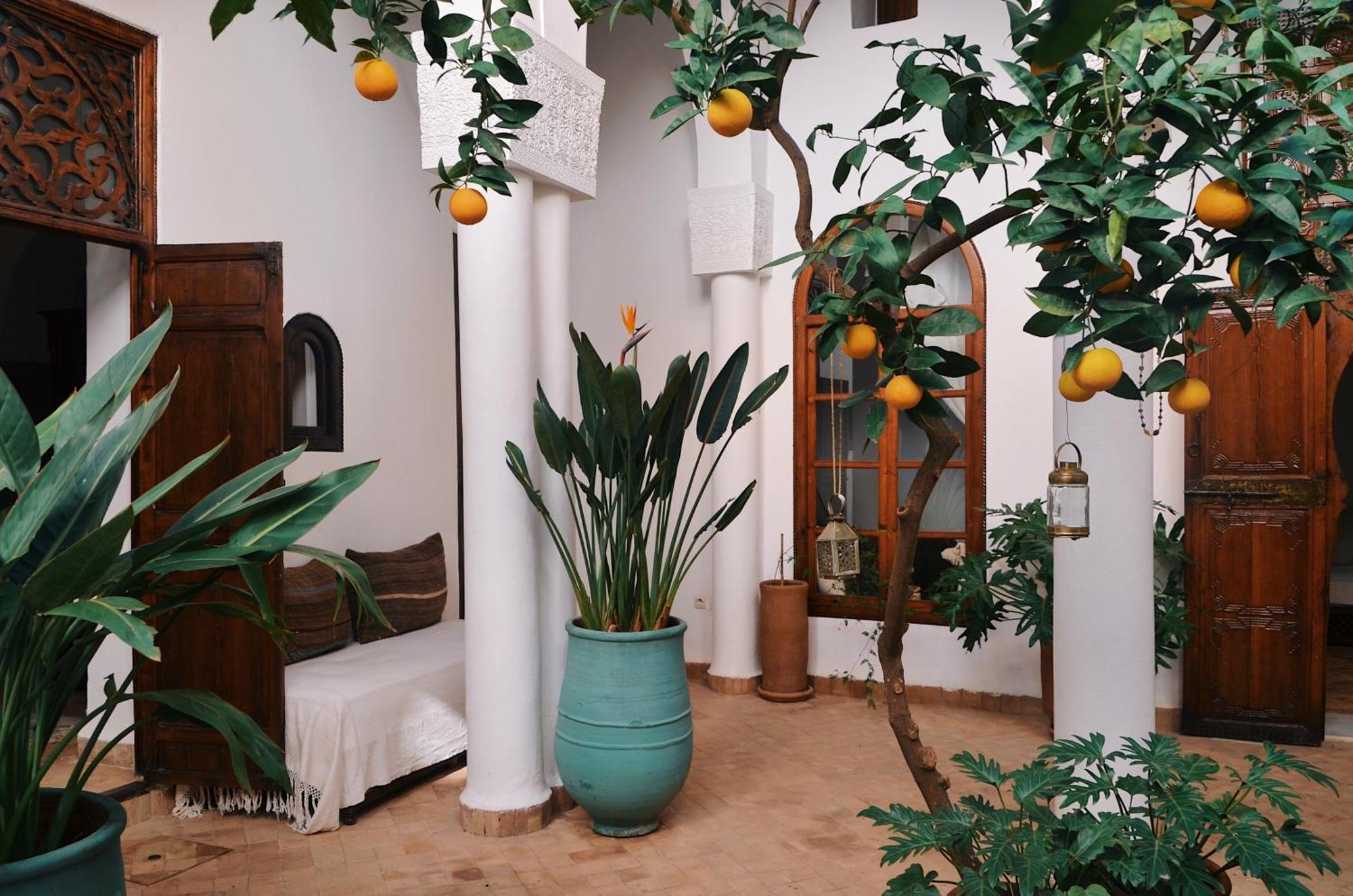 Bed and Breakfast Nosade Venue Marrakesh Exterior foto